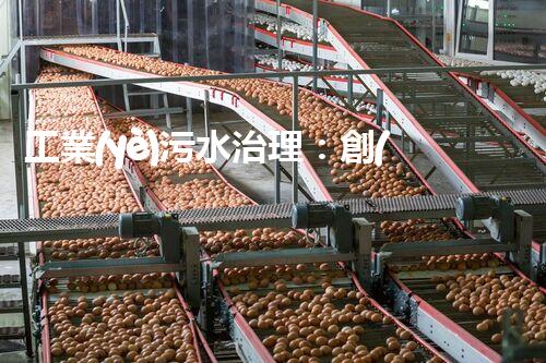 工業(yè)污水治理：創(chuàng)新技術(shù)解決方案，為環(huán)境保護帶來新希望！